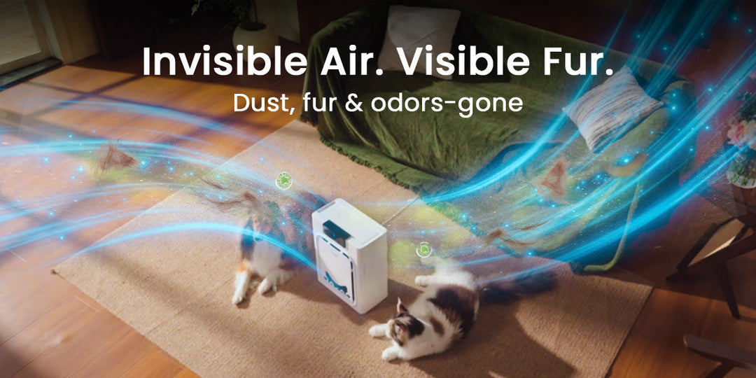 Best Air Purifier for Pet Hair in 2026: An In-Depth Buyer’s Guide for Pet Owners