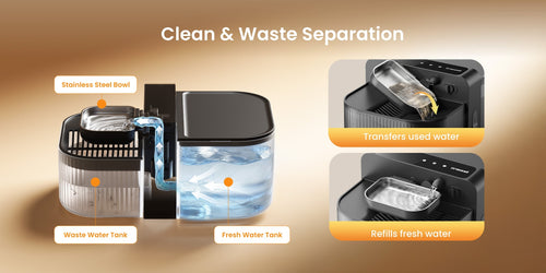 Filterless Cat Water Fountain vs. Traditional Fountain: The Ultimate 2026 Comparison Guide