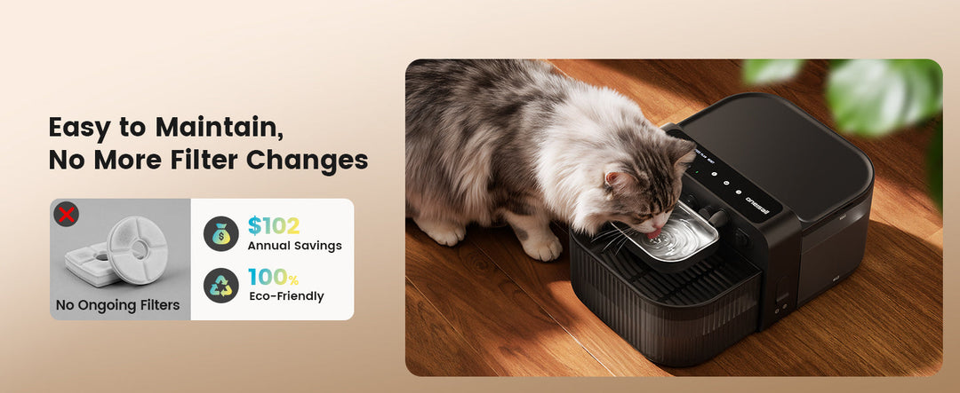 Do You Really Need Filters in Cat Water Fountains? The Science of Fresh Water vs. Recirculated Water