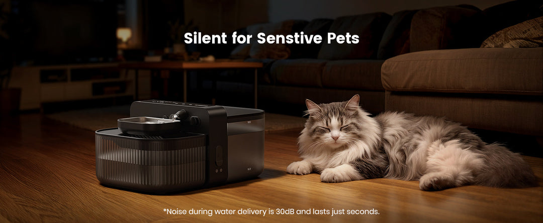 Oneisall Filterless Cat Water Fountain Review: Is It Worth It?