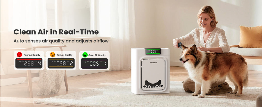 How Often Should You Replace Pet Air Filters? The Complete Life Cycle Guide for Multi-Pet Homes