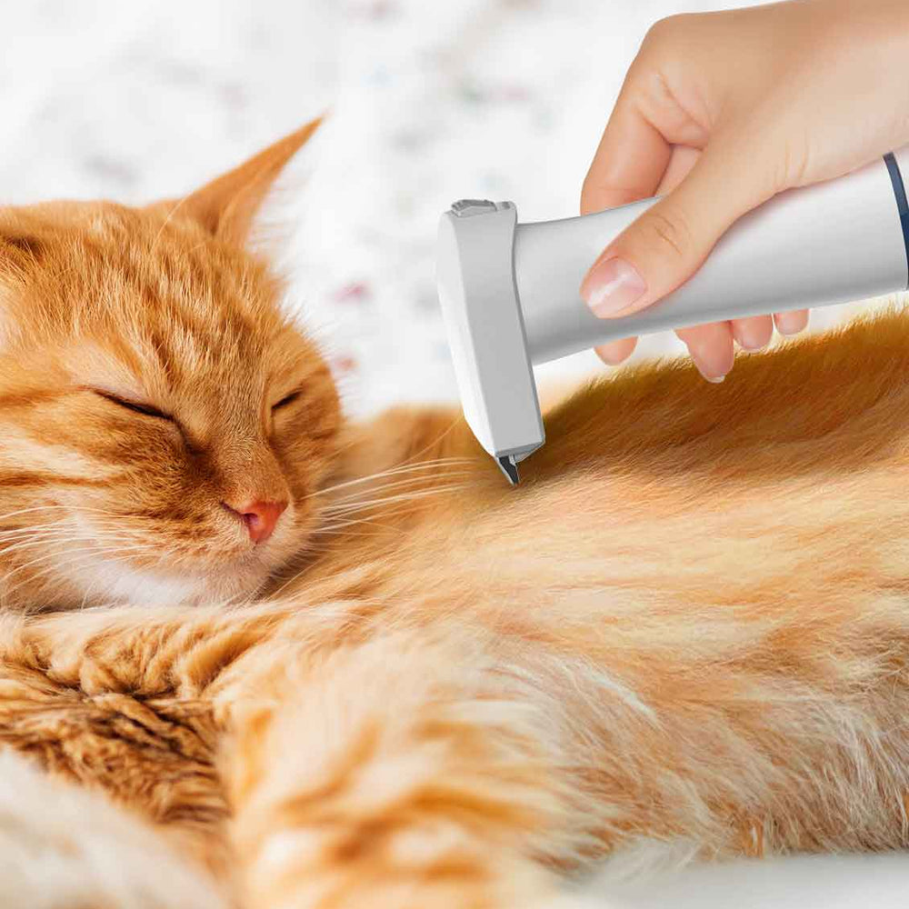 Say Goodbye to Dog Cat Hair Woes with Dog Vacuum Brush
