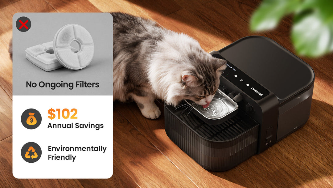 Filterless Cat Water Fountain Review: Is It Worth It?