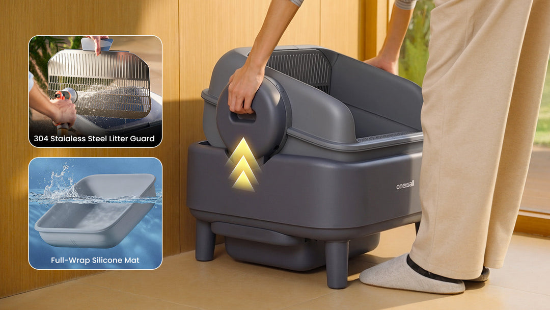How to Clean and Maintain a Self-Cleaning Litter Box: Schedule, Safe Wash Boundaries
