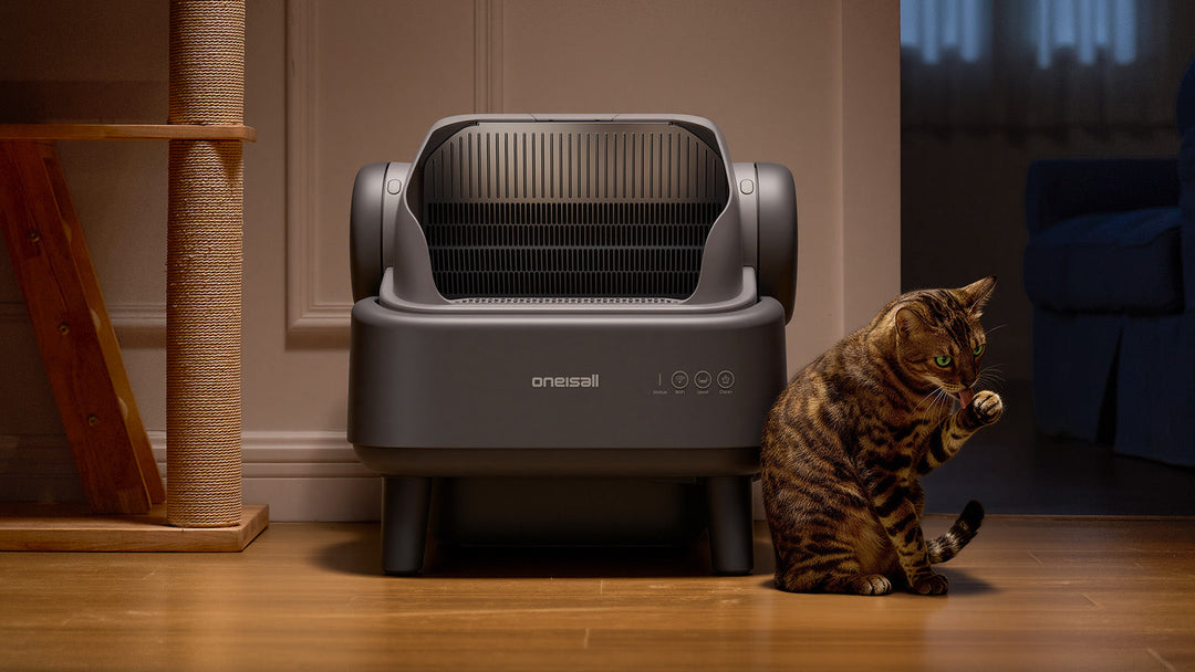 Can Multiple Cats Share One Automatic Litter Box? Size, Space, Capacity & Multi-Cat Welfare Guide