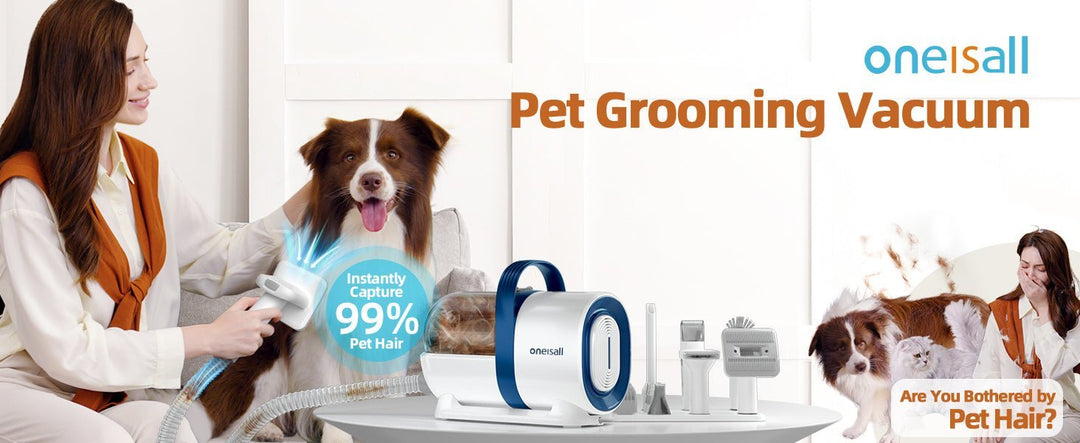 7 Cleaning Tips for Dog Owners