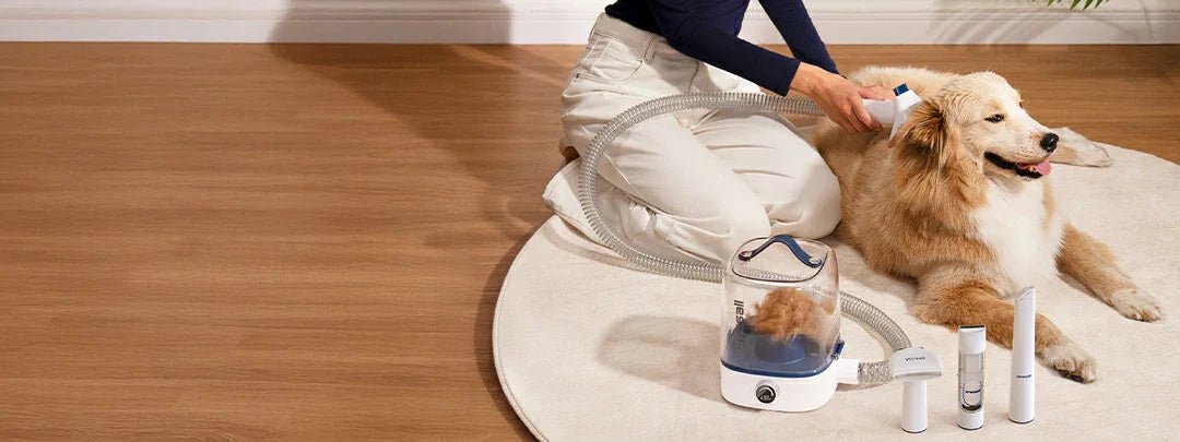 9 Surprising Things Every Dog Owner Should Know About Vacuums