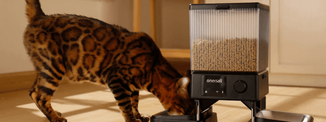 How To Purchase The Best Automatic Pet Feeder?