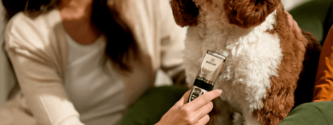 Maintain & Clean Your Dog Clippers