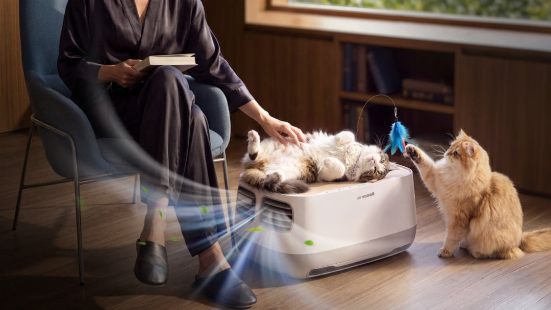 Cat Hair vs. Dander: What Air Purifiers Can Actually Capture