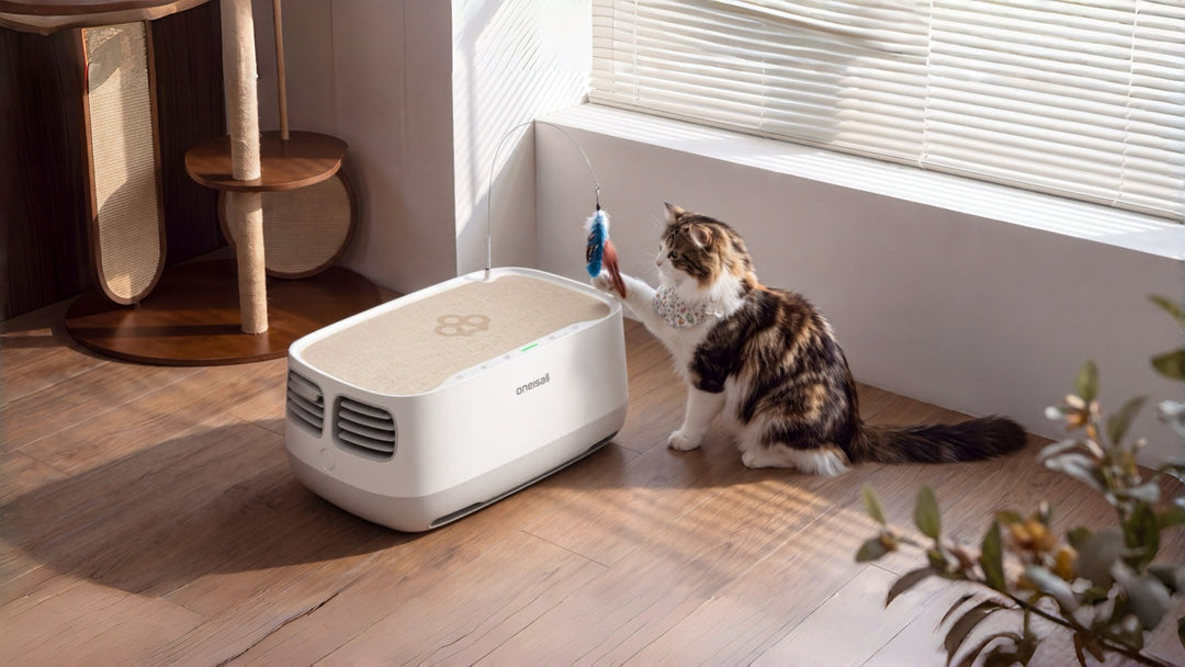 What Is a Cat Bed Air Purifier? How It Works & Filters Fur