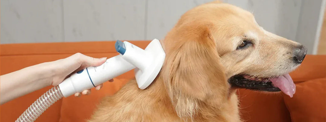 Pet Vacuums