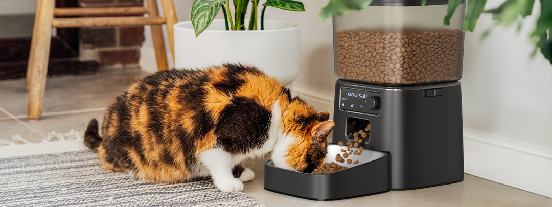 why automatic feeders are a game-changer for busy pet owners