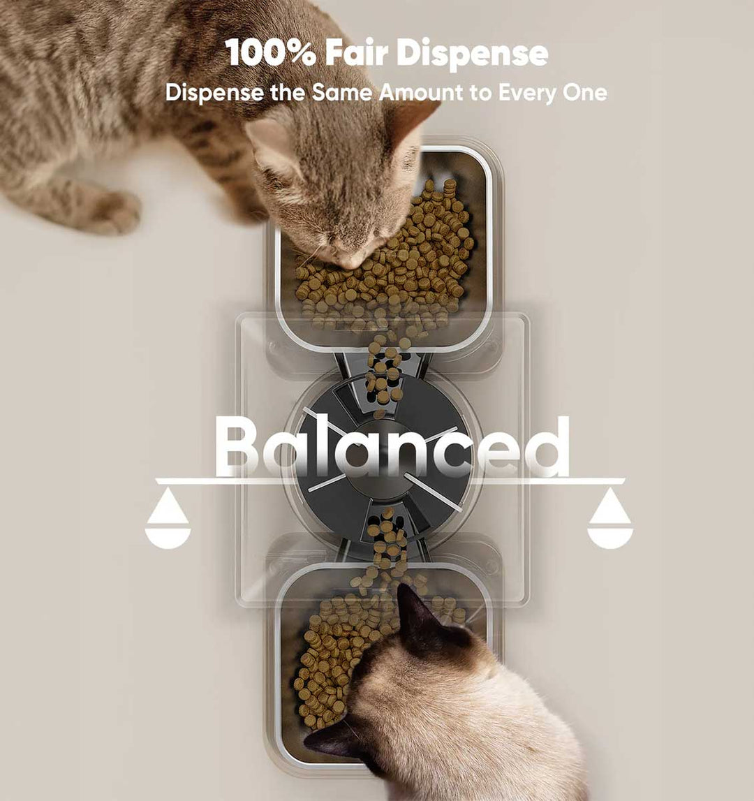 Automatic Pet Feeder: Ensuring Love and Care Every Moment