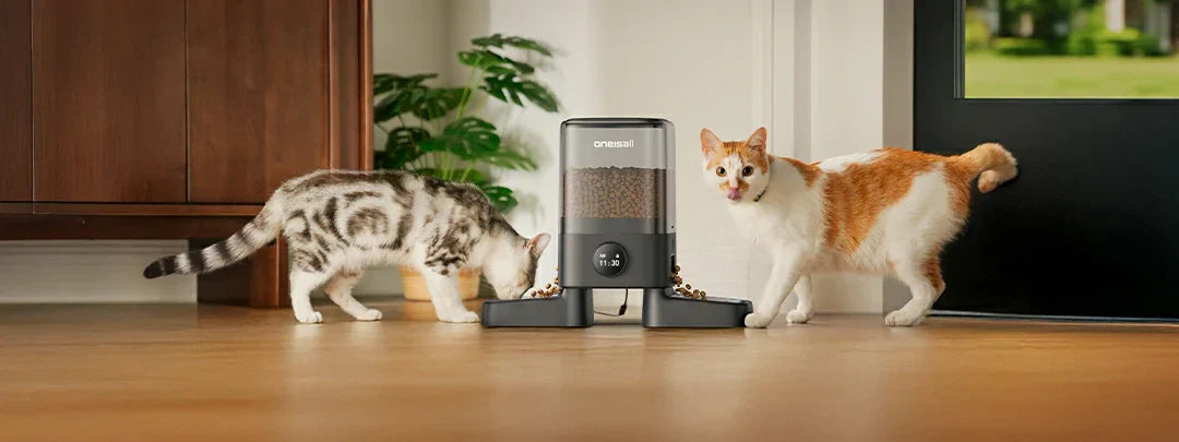 automatic pet feeder