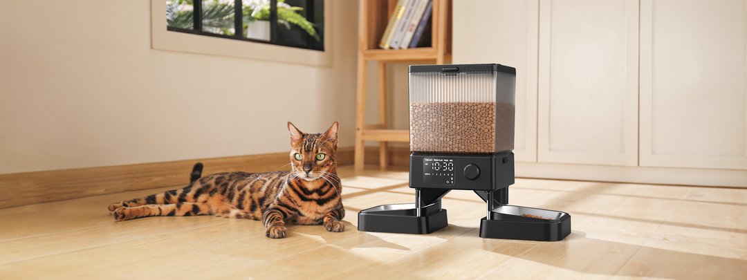 benefits of using an automatic cat feeder