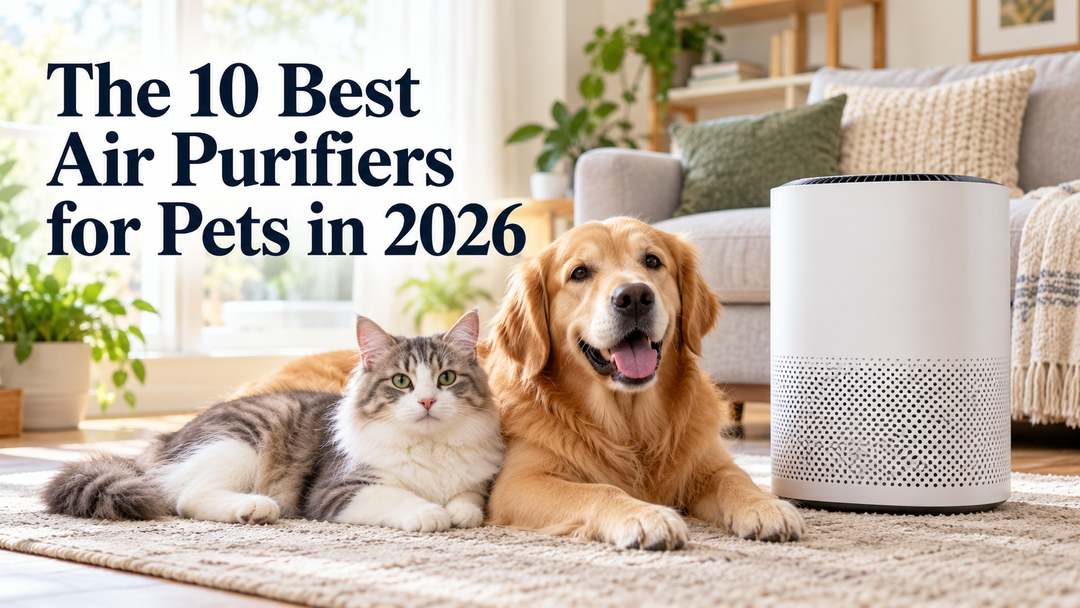 The 10 Best Air Purifiers for Pets in 2026