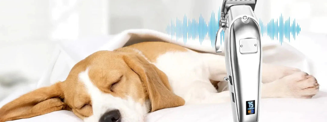 Best Dog Clippers For Poodles