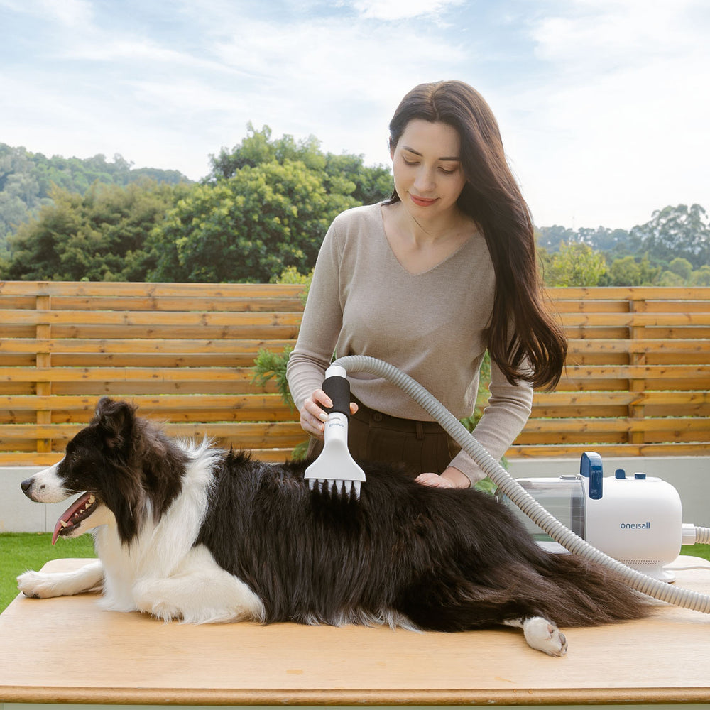 A Comprehensive Exploration of the Dog Grooming Vacuum Kit