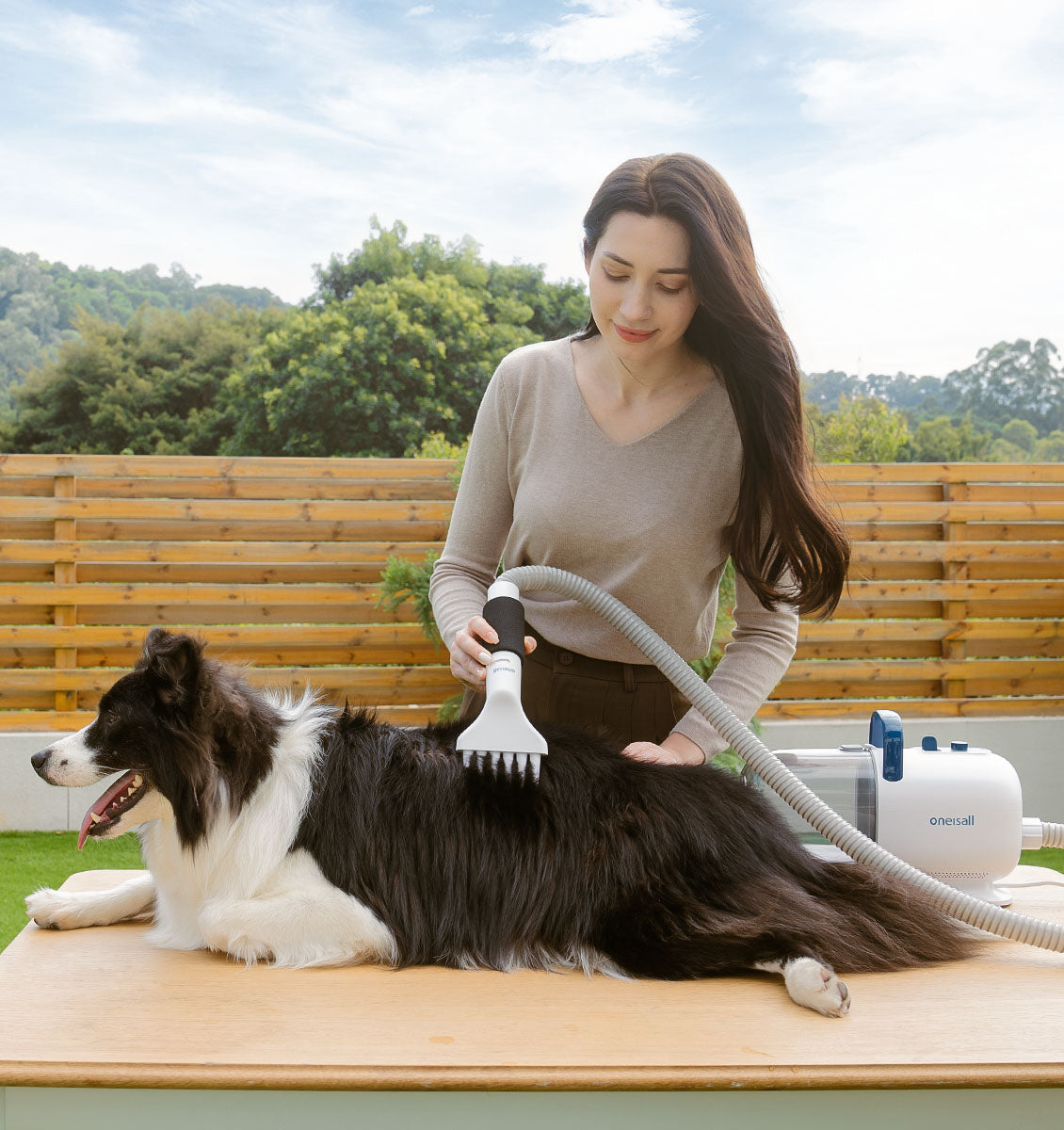 A Comprehensive Exploration of the Dog Grooming Vacuum Kit
