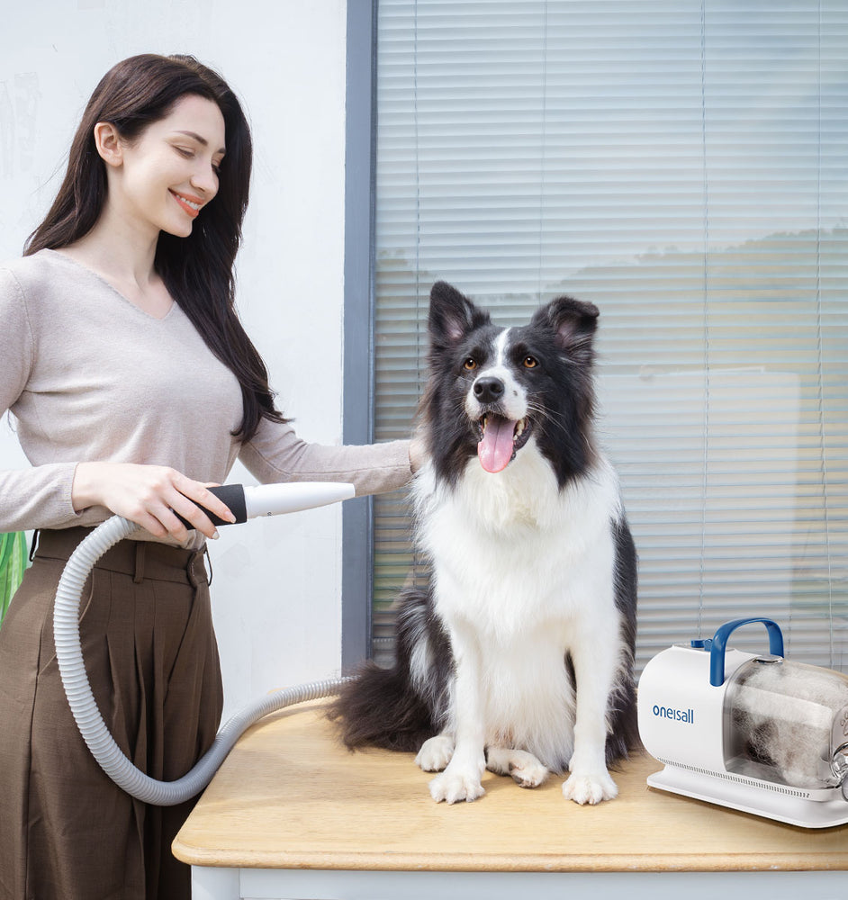 From Fur to Fabulous: All-in-One Pet Grooming Vacuum Kit