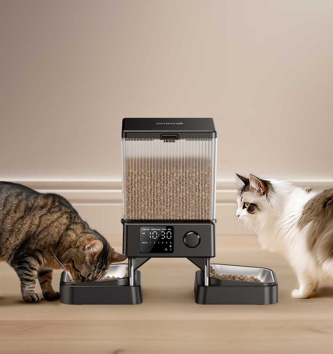 Can Dogs Eat Cat Food?