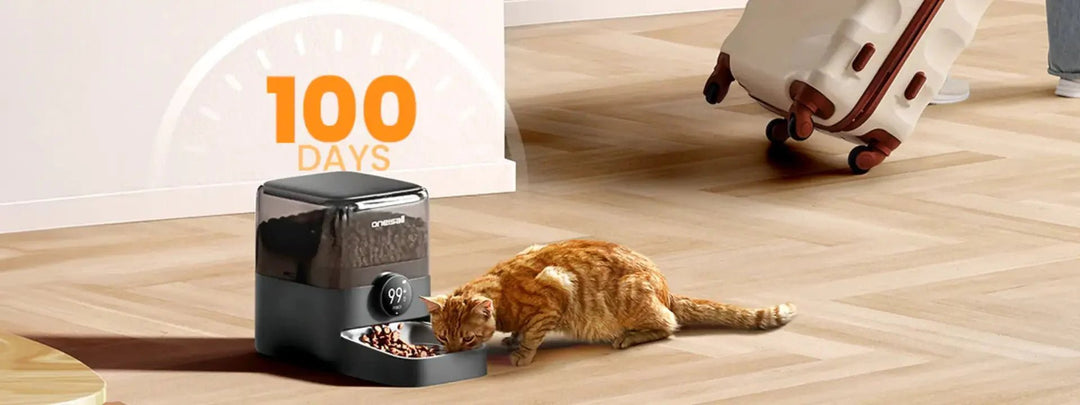 Can I Leave My Cat with an Automatic Feeder for a Week?