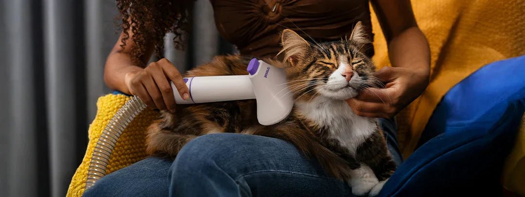 best pet grooming clippers