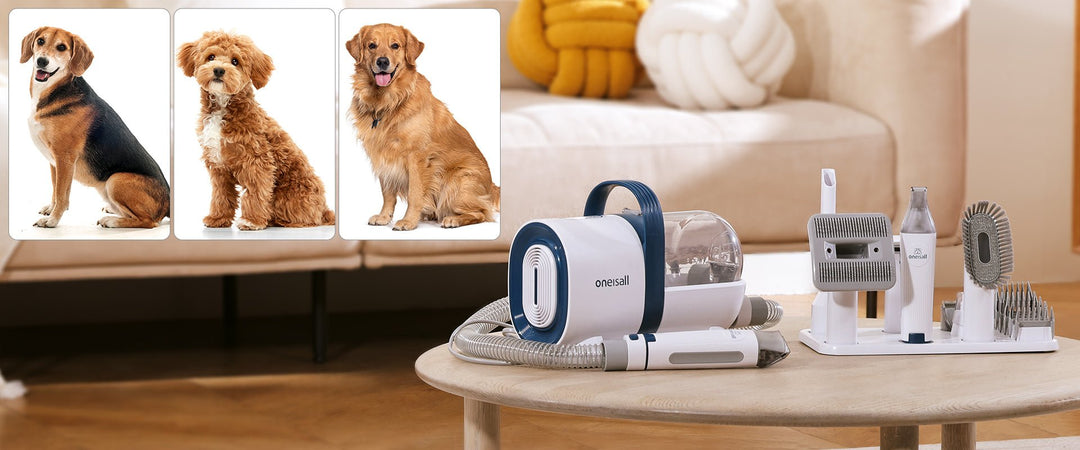 choosing the right grooming tools for your dogs fur type