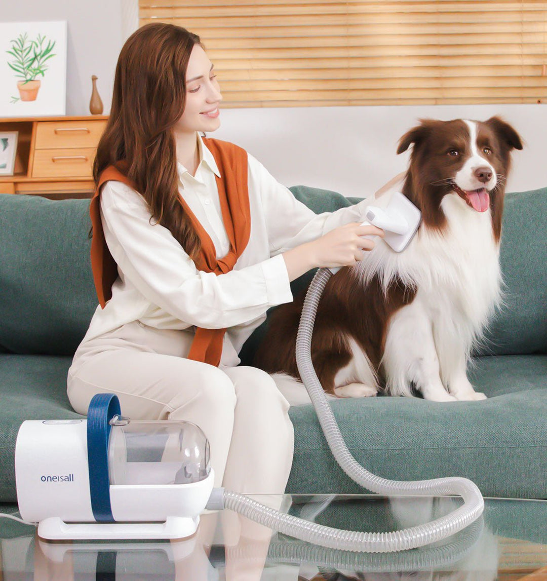 Discover the Ultimate Pet Hair Vacuum Kit