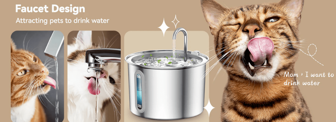 Do Cat Fountains Use a Lot Of Electricity?