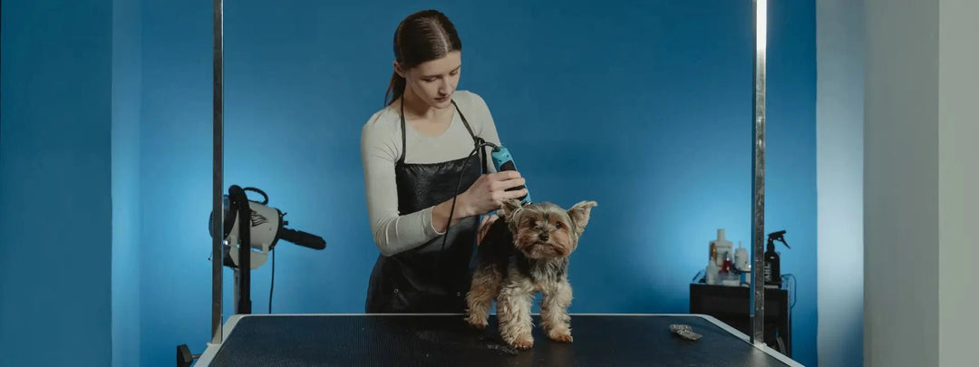 Dog Groomer Vacuums