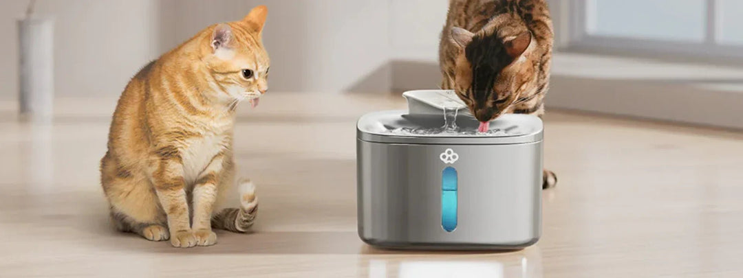 Smart Pet Water Fountain