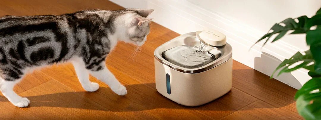cat electric Water Fountain4