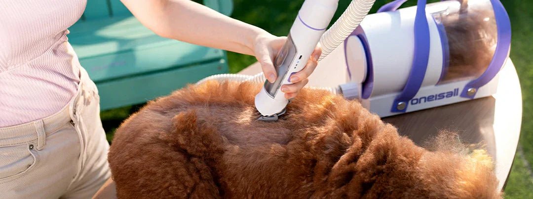 Dog Grooming Vacuum Hacks: 7 Pro Tips for a Cleaner Home and Happier Pup