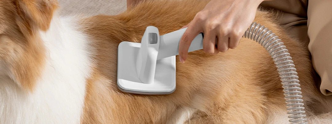 dog hair trimmer