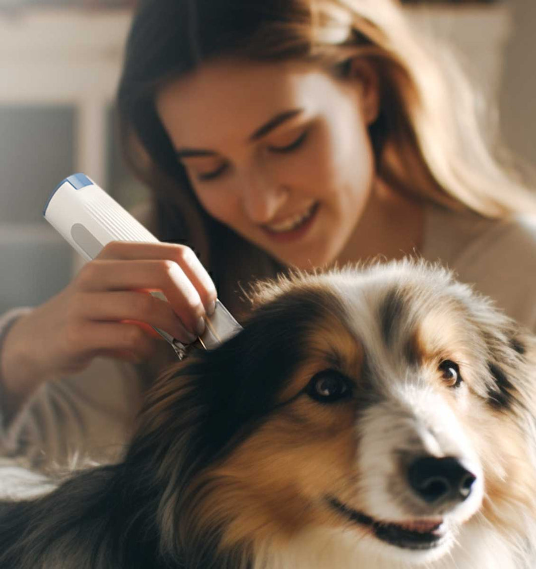 Oneisall Pet Grooming Kit & Vacuum Suction 99% Pet Hair with 7 Pet Grooming Tools for Shedding Thick & Thin Dogs Cats Pet Hair