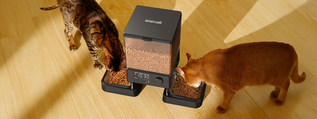 Cat feeder for multiple cats hotsell