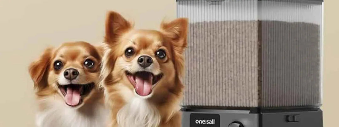 How does an automatic dog feeder work?