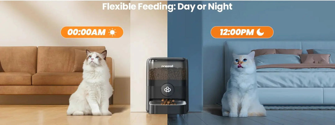 How Long Can Cats Go Without Food?