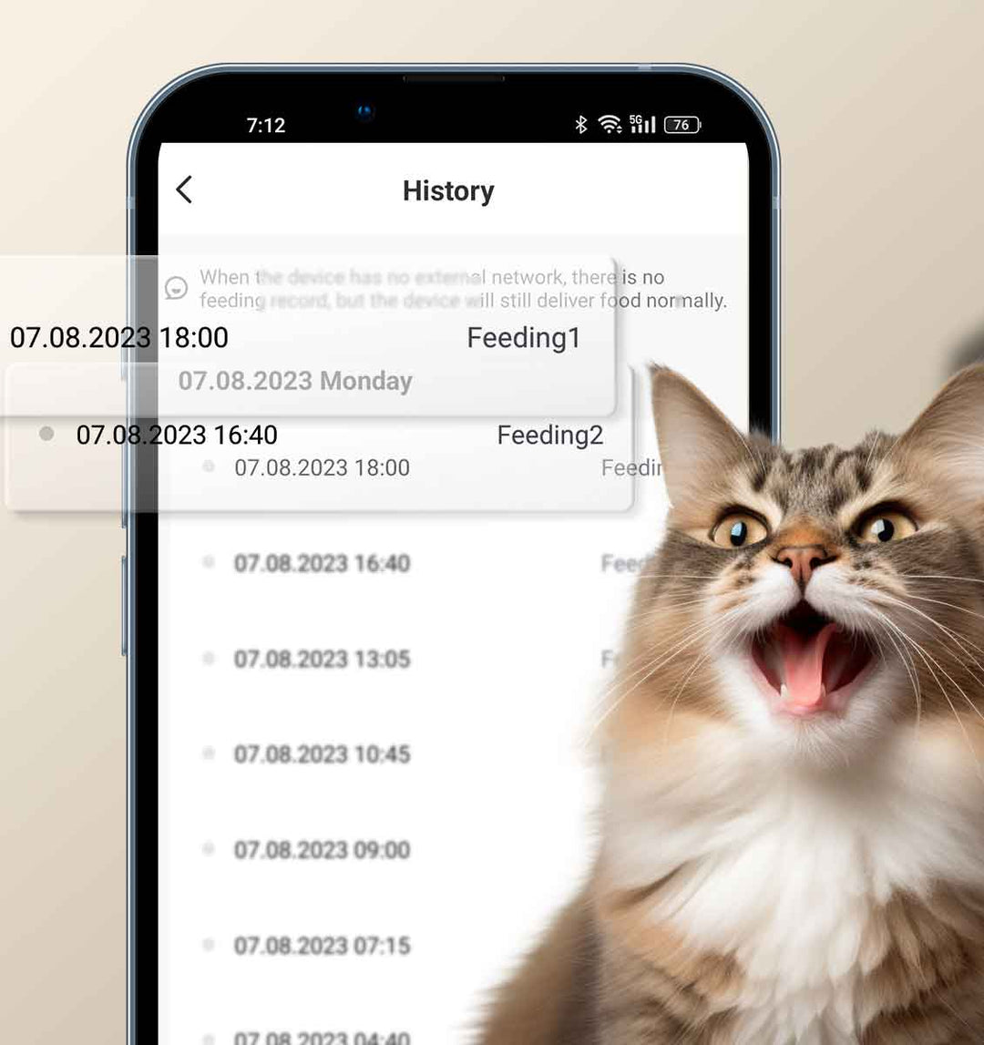 How Long Cats Can Safely Go Without Food and When to Worry?