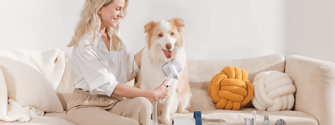 How Often Do You Vacuum If You Have Pets That Shed?