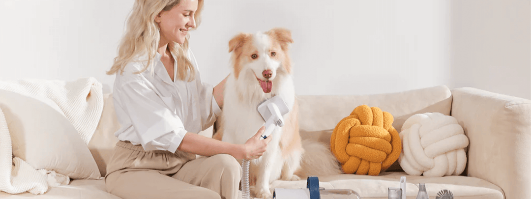 How Often Do You Vacuum If You Have Pets That Shed?