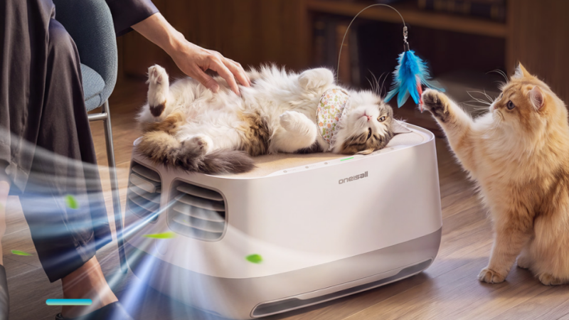 How to Clean an Air Purifier: A Simple 6-Step Guide