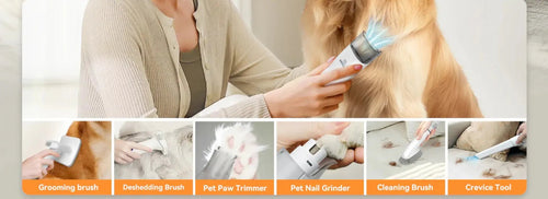 How to Reduce Shedding in Dogs?