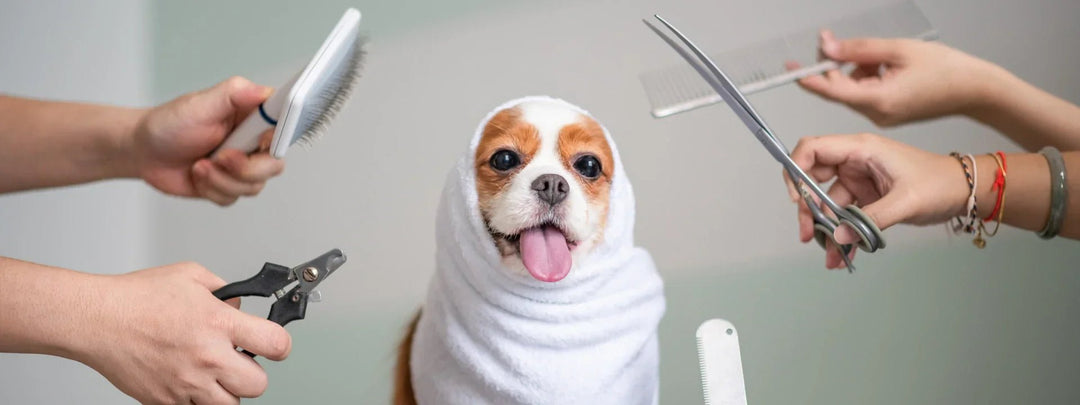 Electric Nail Trimmers