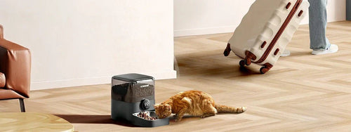 How to Use an Automatic Dog Feeder to Care for Your Dog While You're Away?