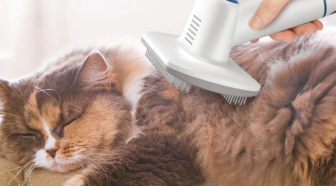 Top 5 Best Pet Hair Vacuums