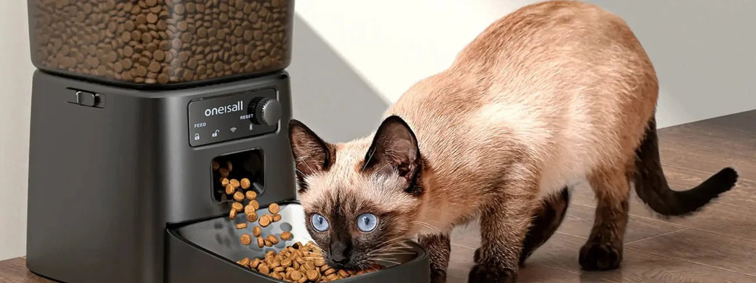 Kitten Feeding Chart By Age: A Comprehensive Guide