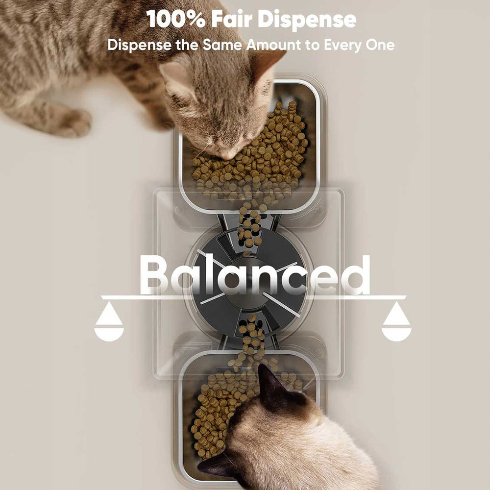Automatic Pet Feeder: Ensuring Love and Care Every Moment